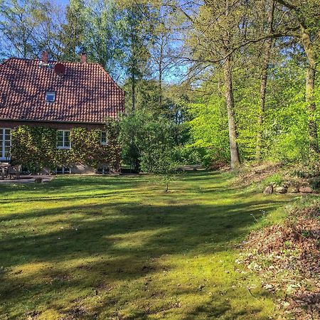 Forsthaus - Gut Thansen Soderstorf Exteriér fotografie