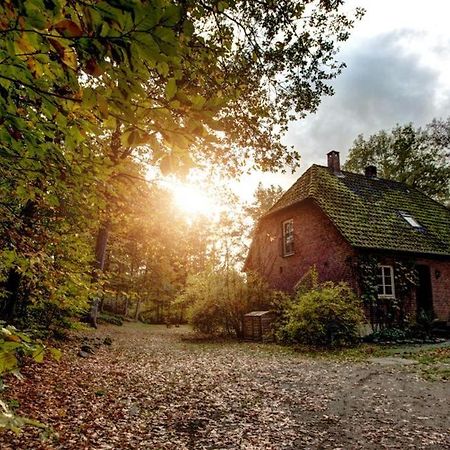 Forsthaus - Gut Thansen Soderstorf Exteriér fotografie