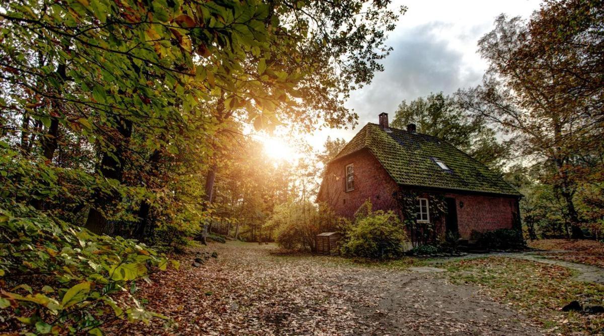 Forsthaus - Gut Thansen Soderstorf Exteriér fotografie